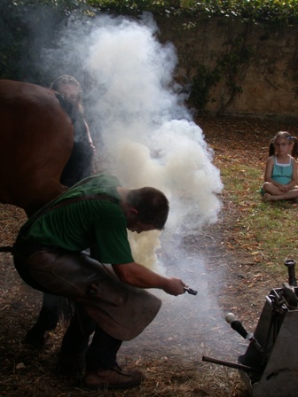 ferrage d'un cheval dordogne gite de france sarlat